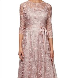 Alex Evenings dress